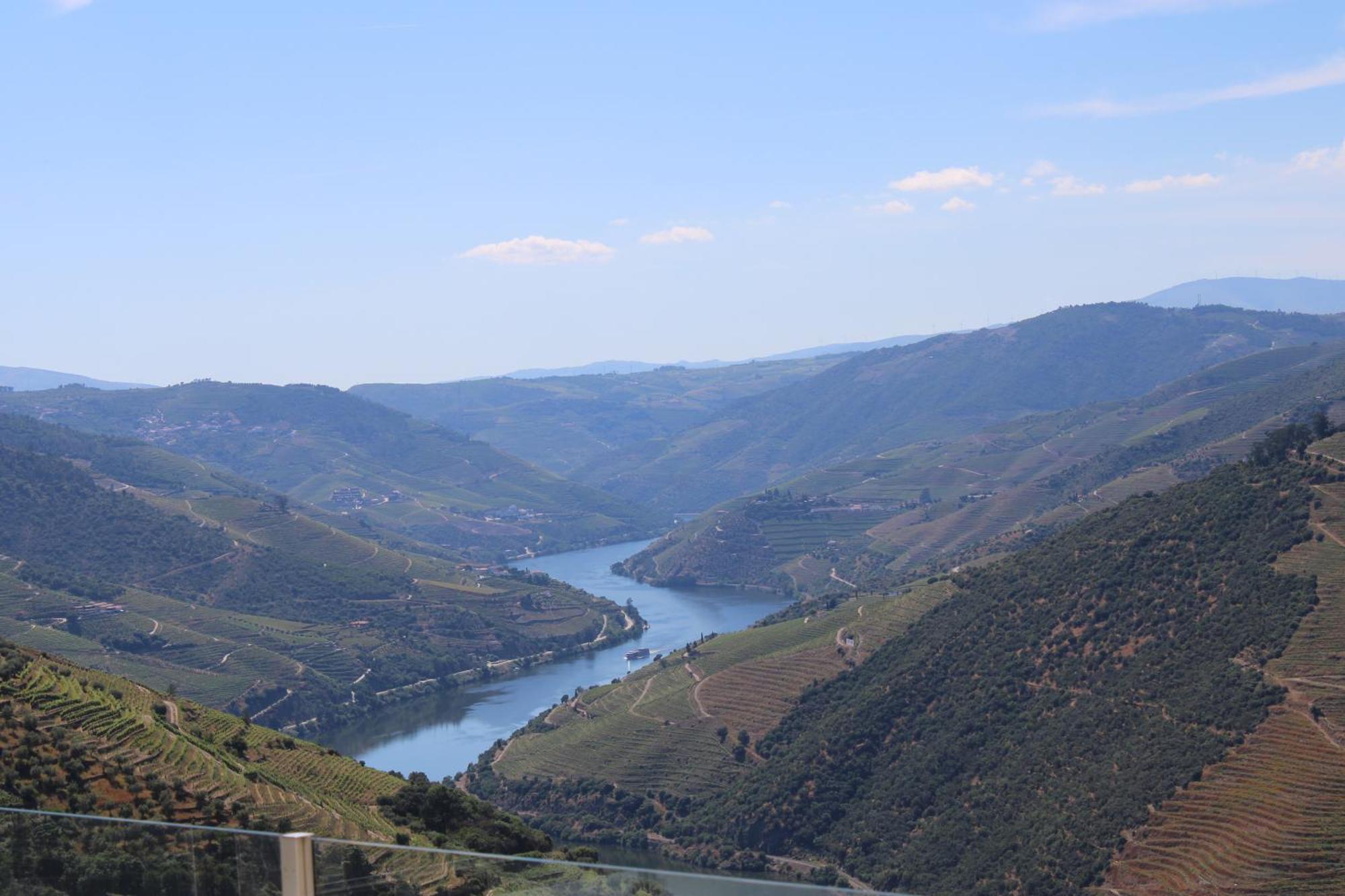 Socalcos Do Douro House Villa Valença do Douro Dış mekan fotoğraf